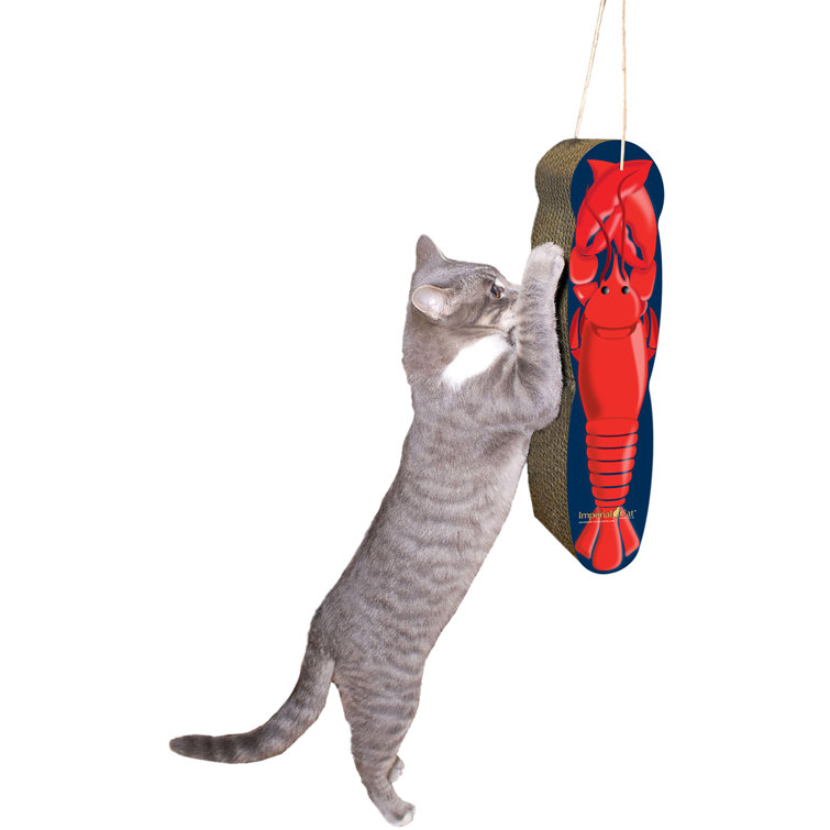 Hanging scratching clearance post